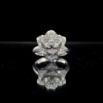 The Shahi Bagh Diamond Set - Image 5